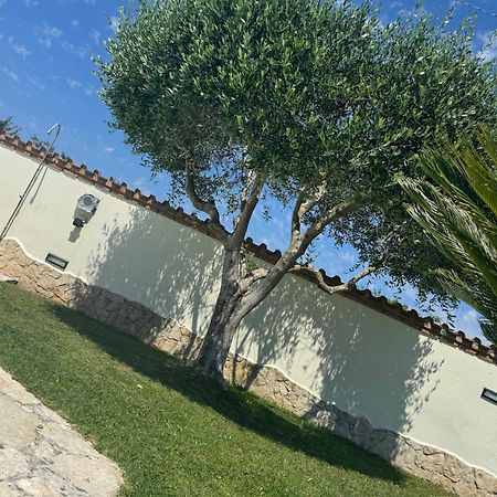 Gold House Luxury Anzio Villa Exterior photo