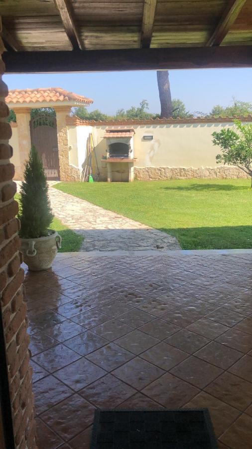 Gold House Luxury Anzio Villa Exterior photo