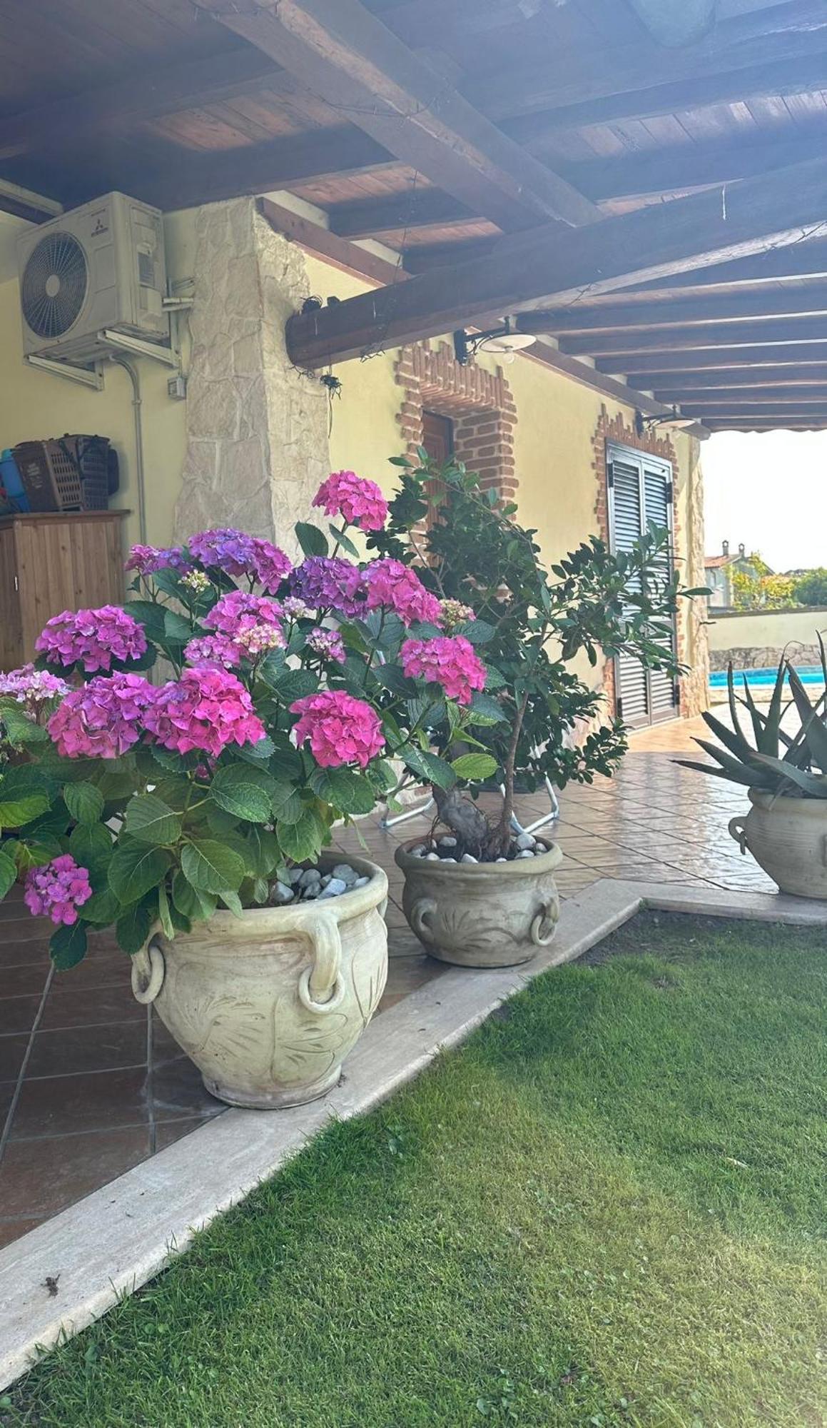 Gold House Luxury Anzio Villa Exterior photo