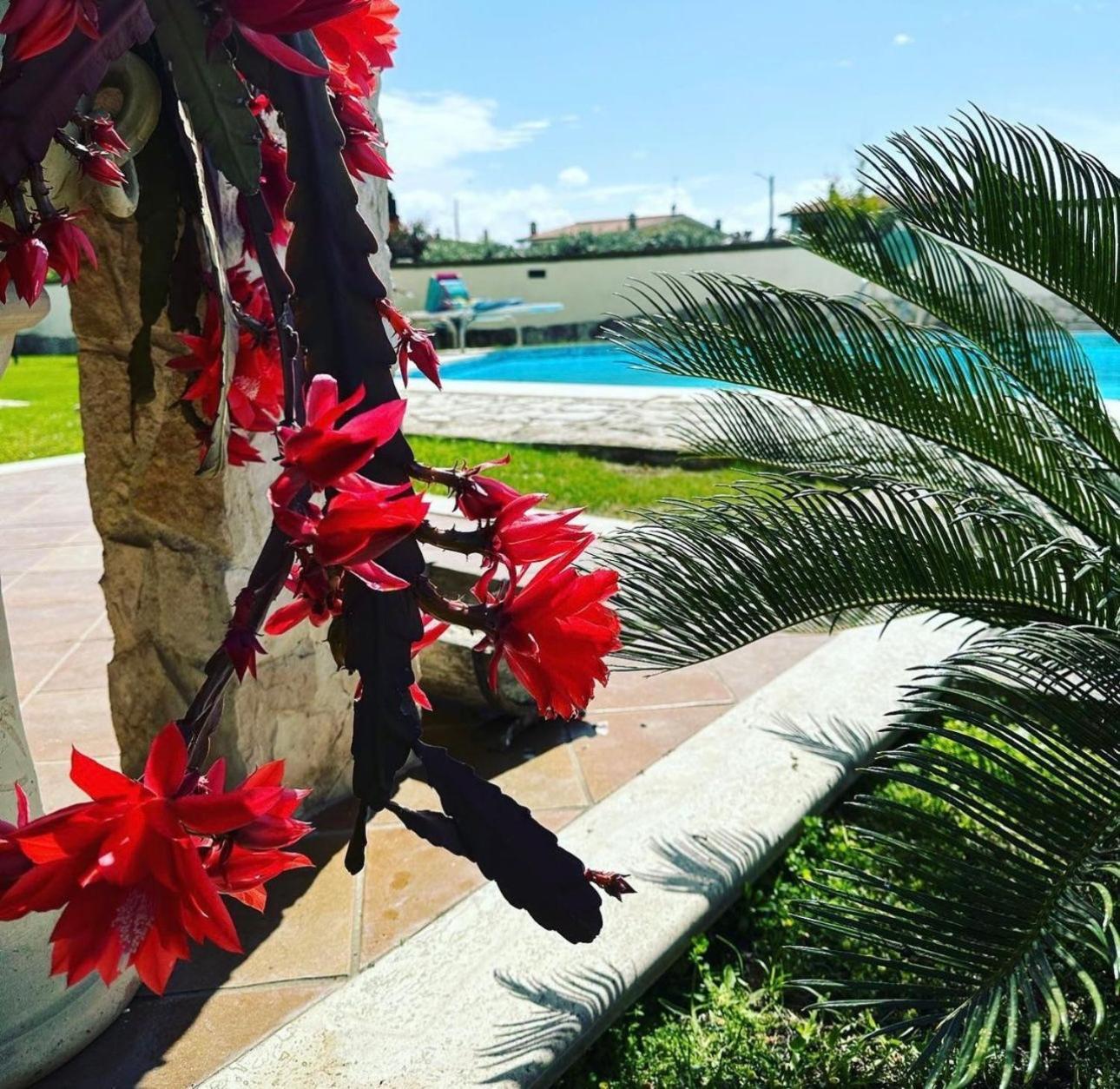 Gold House Luxury Anzio Villa Exterior photo